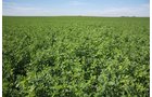 Property photo 120 - LAND AUCTION, 3255+/- Acres offered in 13 Tracts